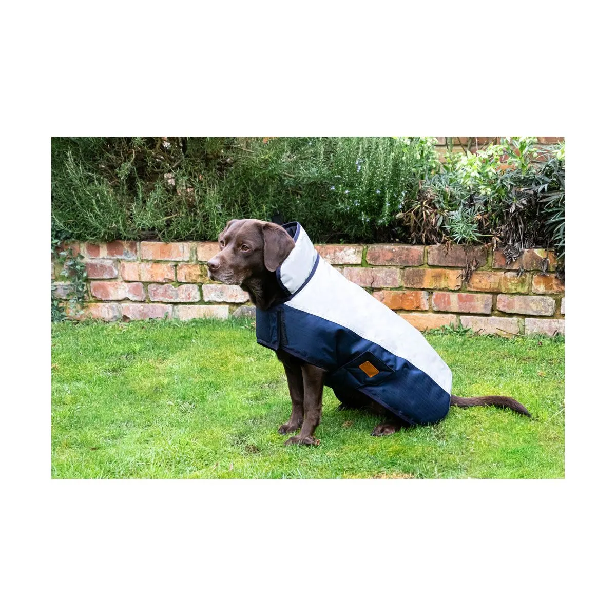 Benji & Flo Waterproof Dog Coat