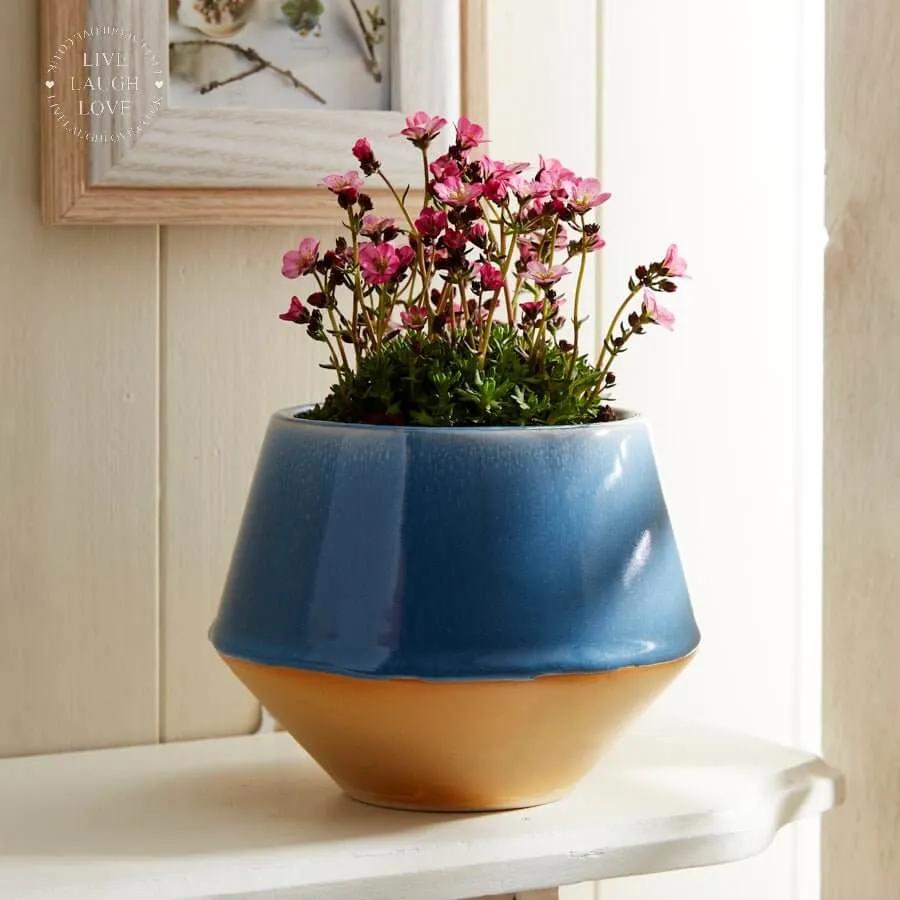 Blue Glazed Ceramic Vases and Planters