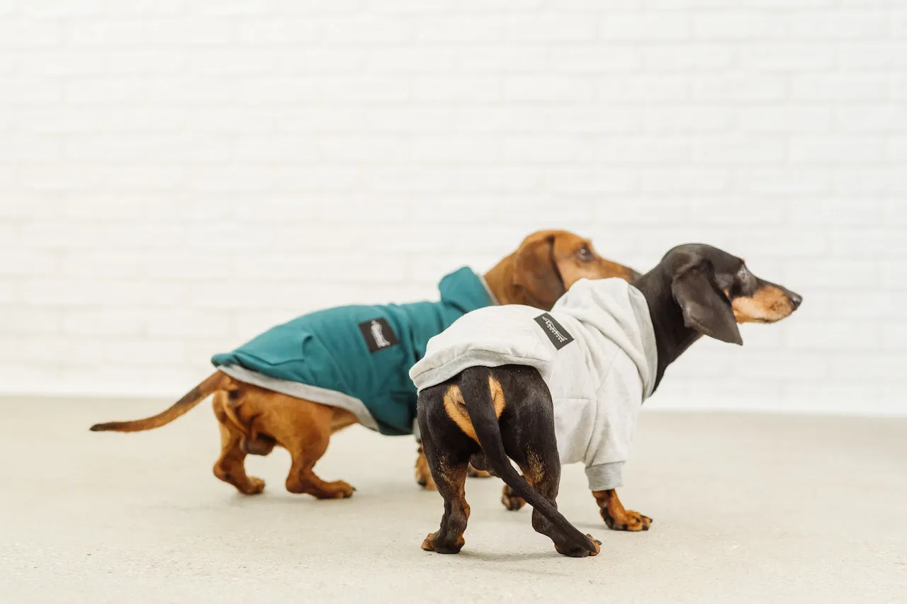 Dachshund grey hoodie David