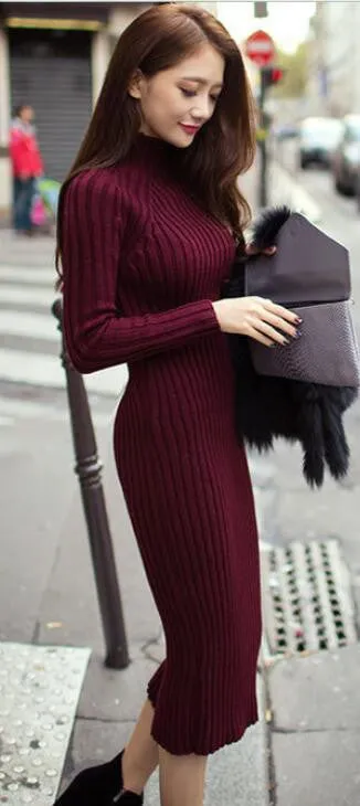 Fashion Ribbed High Neck Long Sleeve Knit Long Sweater
