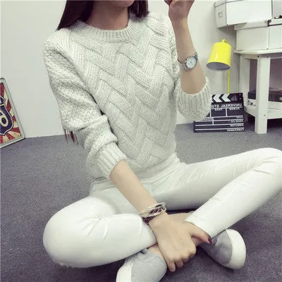 Pure Color Long Sleeves Scoop Regular Sweater