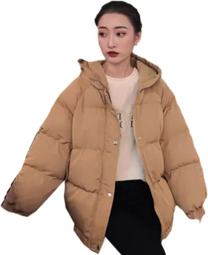Short Winter Jacket Women Warm Hooded Down Cotton Parkas Female Casual Loose Outwear Korean Cotton-Padded Winter Coat