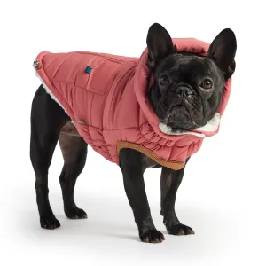 Ultra-Warm &  Stylish Dog Jacket